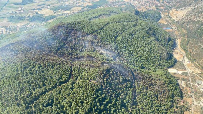 Muğla’daki Yangında 50 Hektar Alan Zarar Gördü