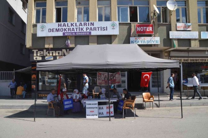 Muş’ta Evlat Nöbeti Tutan Ailelerin Sayısı 39’a Yükseldi