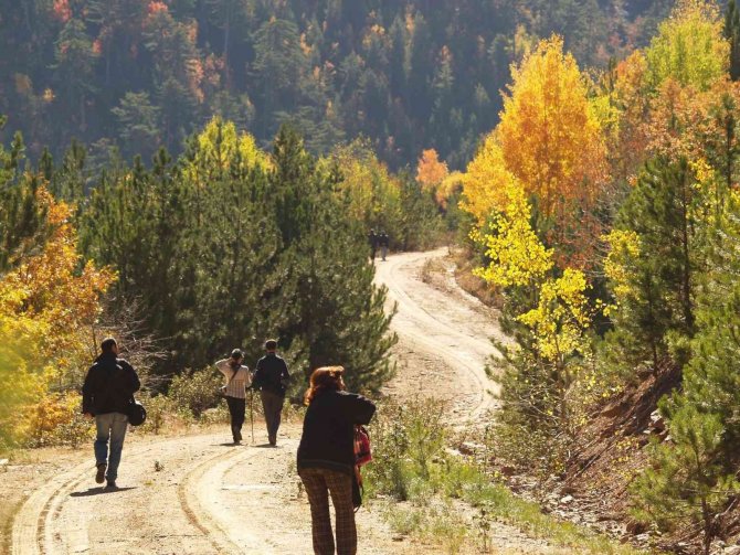 Ormanlara Giriş Yasağı Yarın Kalkıyor
