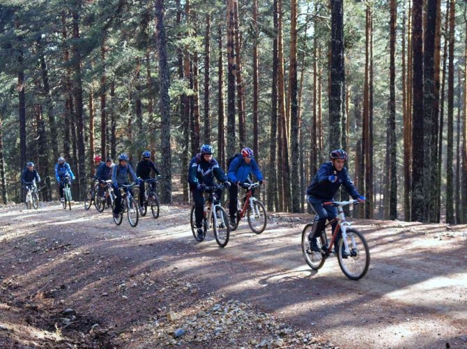 Ormanlara Giriş Yasağı Yarın Kalkıyor