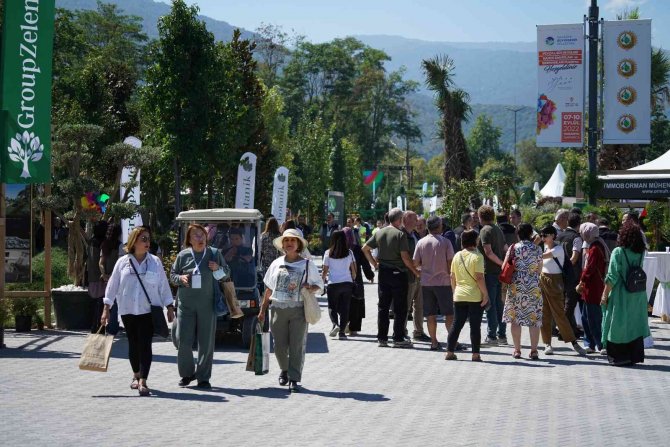 Süs Bitkiciliği Alanında İhracat, İthalatın 3 Katına Ulaştı