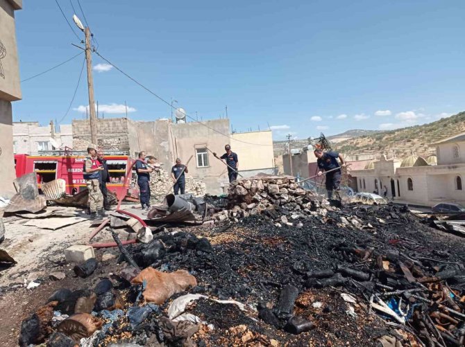 Siirt’te Kış Gelmeden 2 Ton Odun Yandı