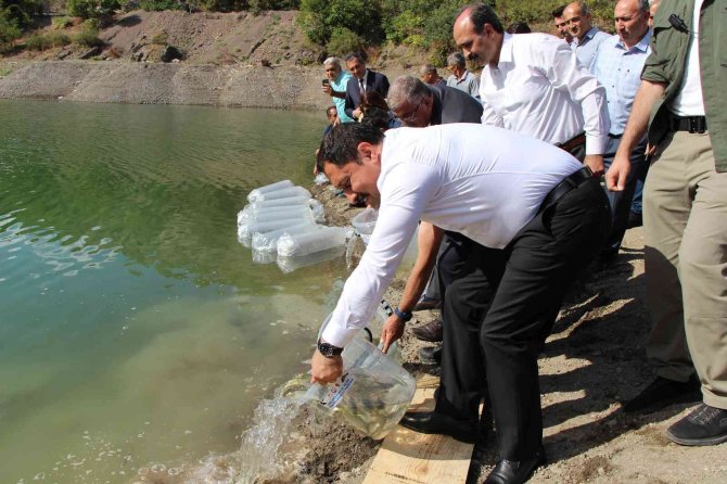 2023 Hedefi 100 Milyon Yavru Balık