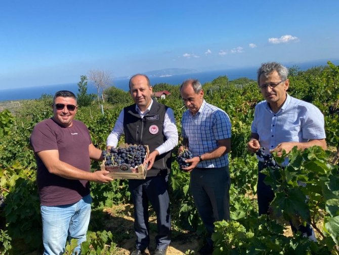 Tekirdağ’da Üzüm Üreticilerinin Sorunları Masaya Yatırıldı