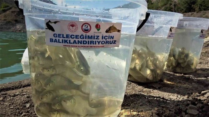 2023 Hedefi 100 Milyon Yavru Balık