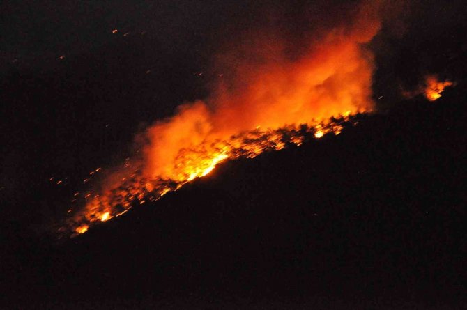 Muğla Gökova Yangını Devam Ediyor
