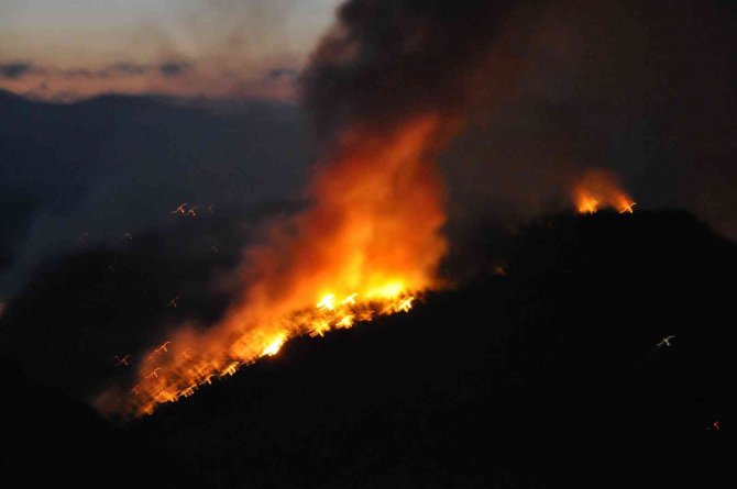 Muğla Gökova Yangını Devam Ediyor