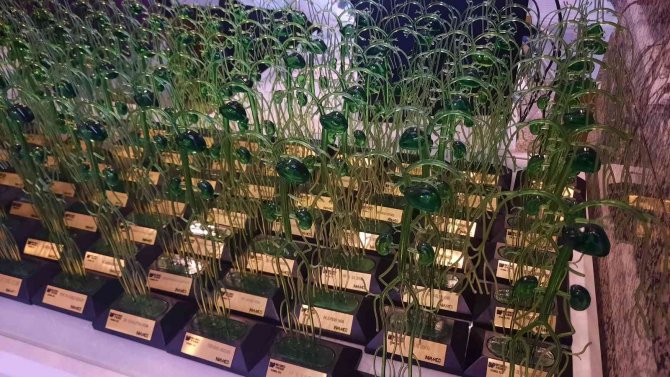 Dünya Fleboloji Kongresi İ̇stanbul’da Başladı