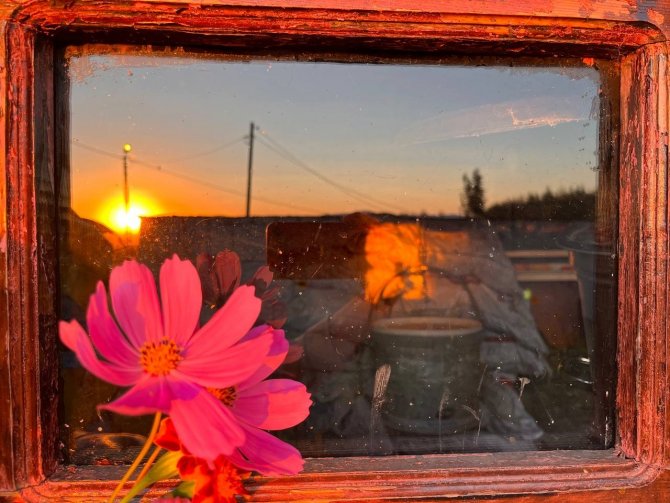 Rengarenk Çiçekler Sonbaharı Karşıladı