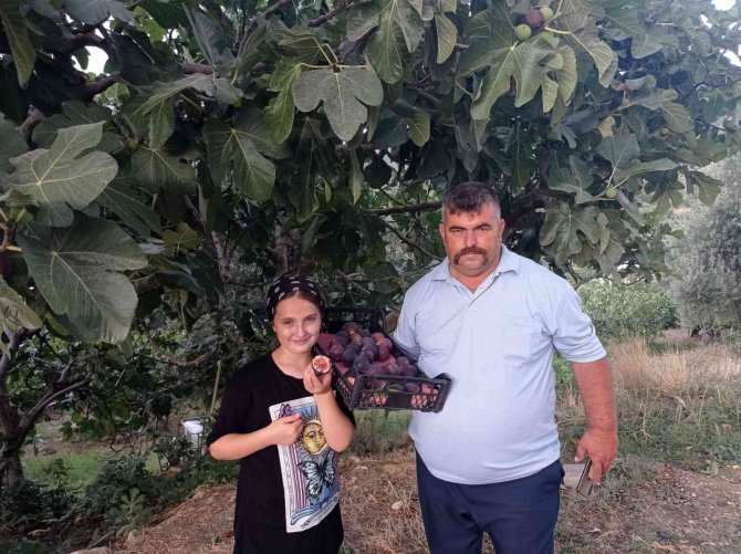 Büyükşehir Devreye Girdi, Üreticilerin Yüzü Güldü