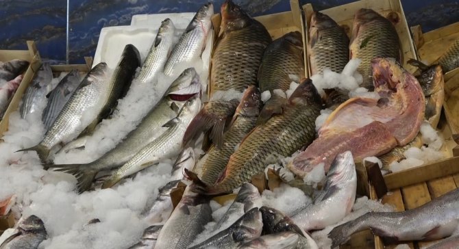 Av Yasağı Sonrası Tezgahlarda Balık Bolluğu