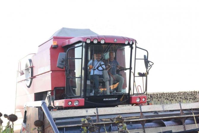 Balıkesir’de Ayçiçek Hasadına Başlandı