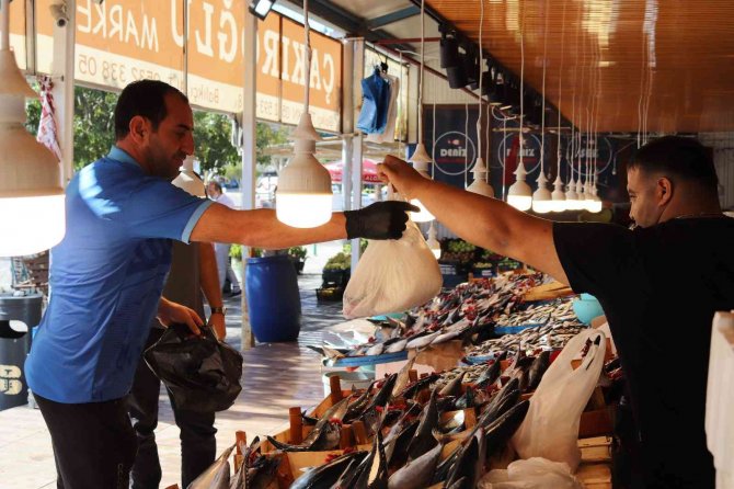 Bandırma’da Palamut Balığına Vatandaşlardan Yoğun İlgi