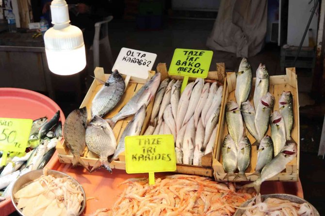 Bandırma’da Palamut Balığına Vatandaşlardan Yoğun İlgi
