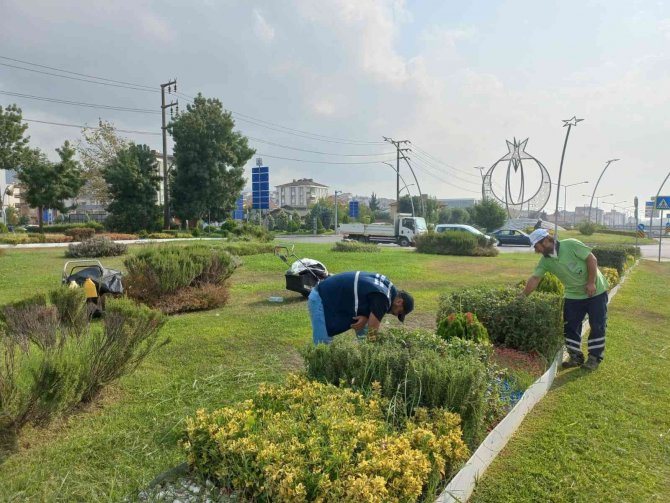 Derince’nin Yeşil Alanlarına Bakım Yapılıyor