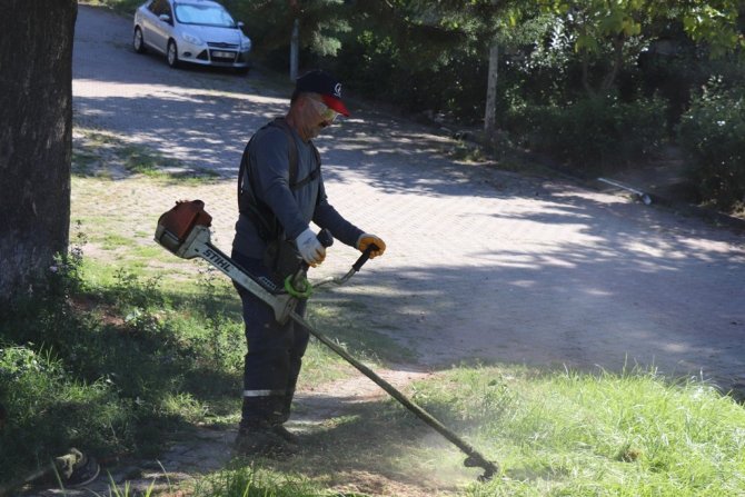 Bahçeşehir’de Sonbahar Temizliği