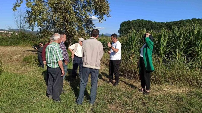 Mahalle Sakinlerinin Çağrısı Sonuç Getirdi