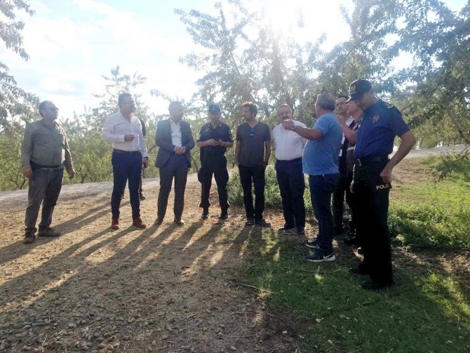 Salihli’de Badem Hasadı Başladı