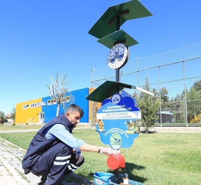 Elazığ Belediyesi Sokak Hayvanlarını Unutmadı
