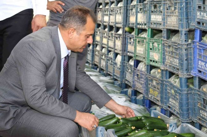 Elazığ’da Sera Üreticileri Bilgilendirildi