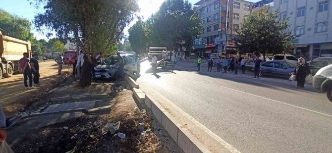 Elazığ’da Otomobil Ağaca Çarptı: 1 Yaralı