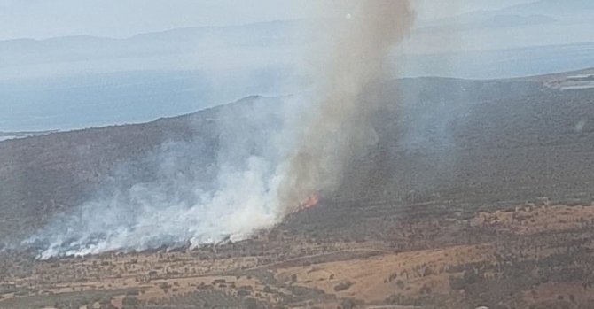 İ̇zmir’de Makilik Alanda Yangın