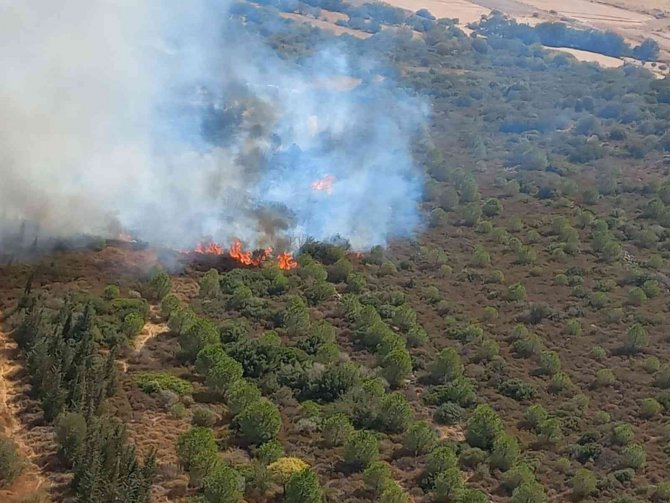 İ̇zmir’de Makilik Alandaki Yangın Kontrol Altında