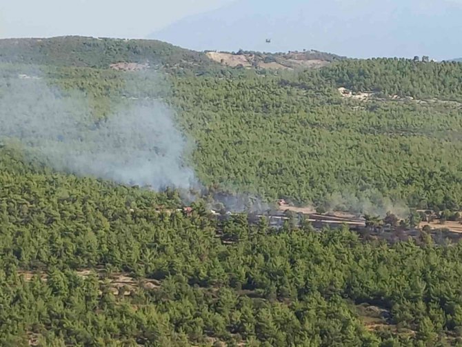 Ormanlık Alanda Çıkan Yangın Kontrol Altına Alındı