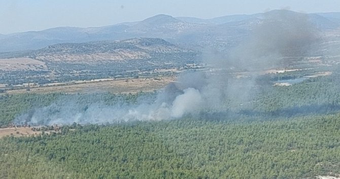 Ormanlık Alanda Çıkan Yangın Kontrol Altına Alındı
