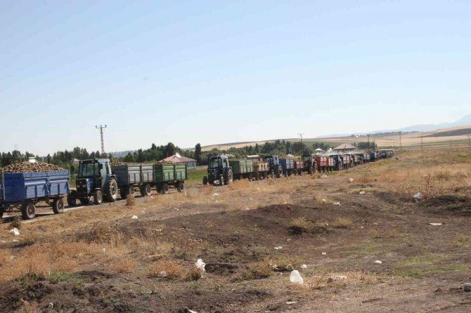 Malazgirt’te Pancar Alım Kampanyası Başladı