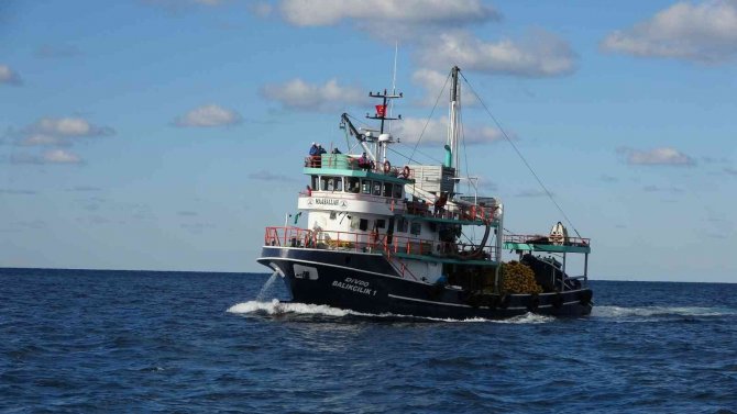 Ordu’da Palamut Fiyatları Düştü: Kiloluk Palamutlar 40 Lira