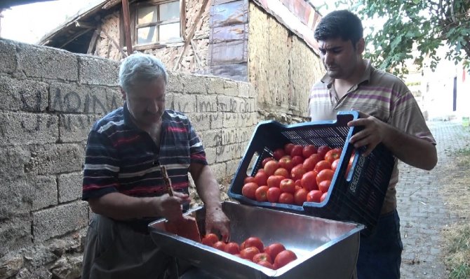 Domatesin Fiyatı Arttı, Salça Yapan Azaldı