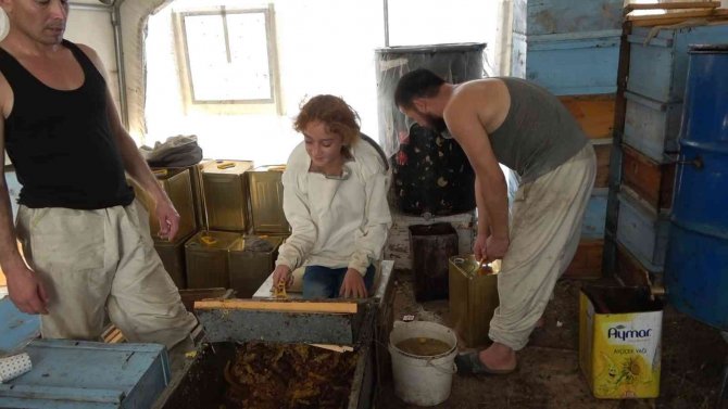 Muş’ta 630 Ton Bal Hasadı Bekleniyor