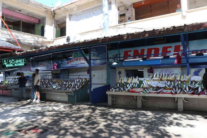 Balık Bollaşınca Fiyatlar 50 Tl’ye Geriledi