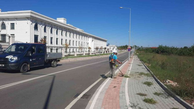 Başiskele’de Sonbahar Temizliği