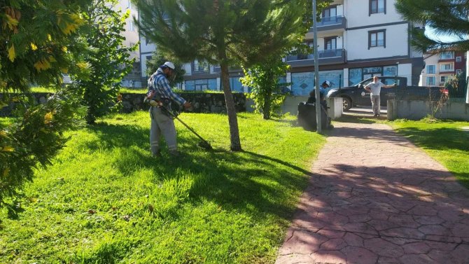 Başiskele’de Sonbahar Temizliği