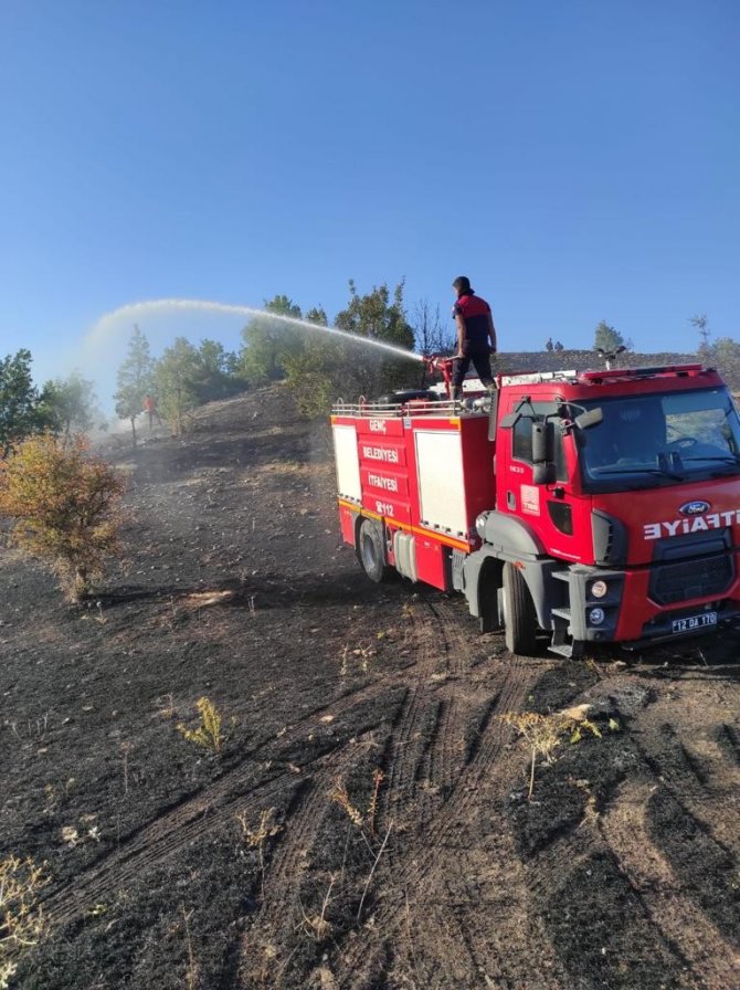 Genç İlçesindeki Orman Yangını Söndürüldü