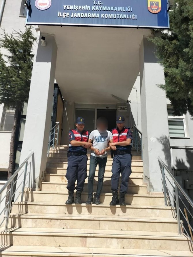 Bursa’da Kenevir Tarlasına Jandarma Baskını