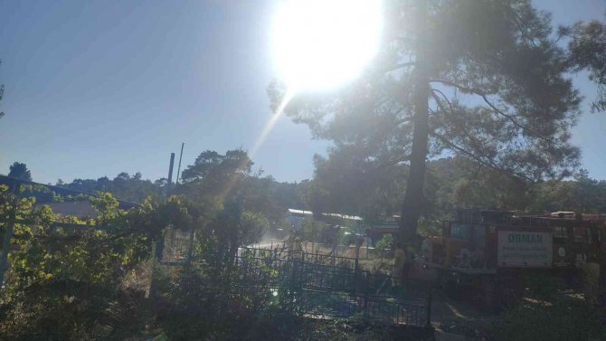 Marmaris’teki Yangın Ormana Sıçramadan Kontrol Altına Alındı