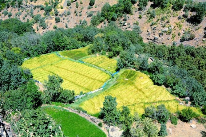 Yüksekovalı Dağcılar Çukurca’nın Kültürel Yerlerini Gezdi