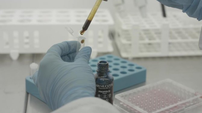 Bitkisel Ürün Kullanırken Sağlığınızdan Olmayın