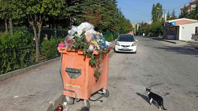 Vatandaşın Kırık Çöp Konteyneri İle İmtihanı