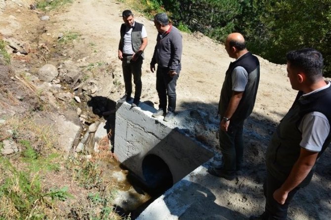 Orman Bölge Müdürü Dündar, “Yangınlara En İyi Şekilde Müdahale İçin Yeni Orman Yolları Açıldı”