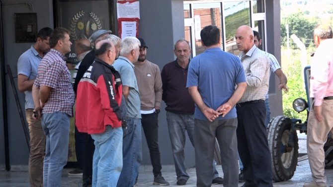 Bafra’da Ayçiçeği Alımları Başladı