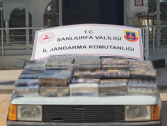 Şanlıurfa’da Gümrük Kaçağı Sigara Ve Çay Ele Geçirildi
