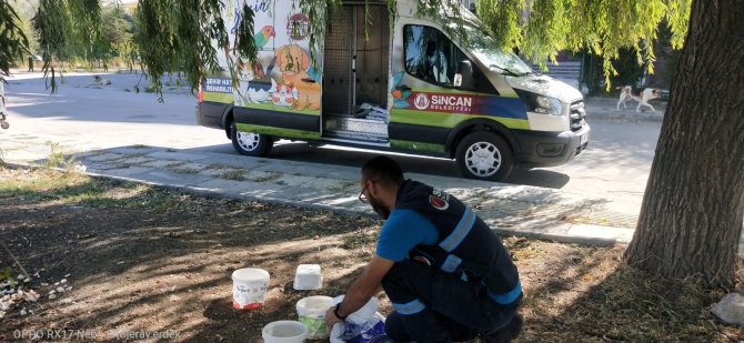 Sincan Belediyesi Sokak Hayvanları Besleme Noktalarını 68’e Yükseltti