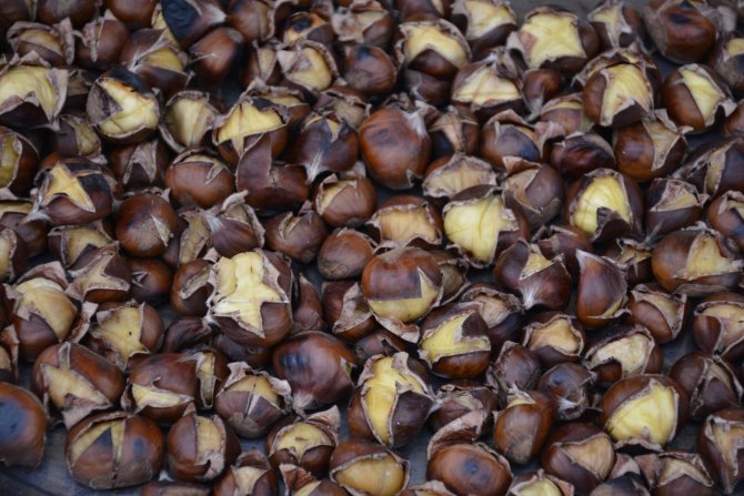 Sinop Kestanesi Tezgahlarda