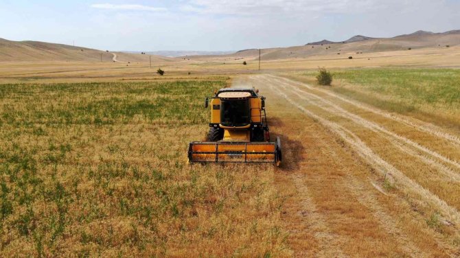 Sivas Ziraat Odası Başkanı Çetindağ: “Türkiye’de Saman İhtiyacı Olan İl Varsa Sivas Olarak Karşılamaya Hazırız"