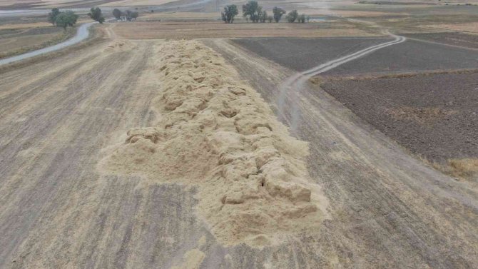 Sivas Ziraat Odası Başkanı Çetindağ: “Türkiye’de Saman İhtiyacı Olan İl Varsa Sivas Olarak Karşılamaya Hazırız"