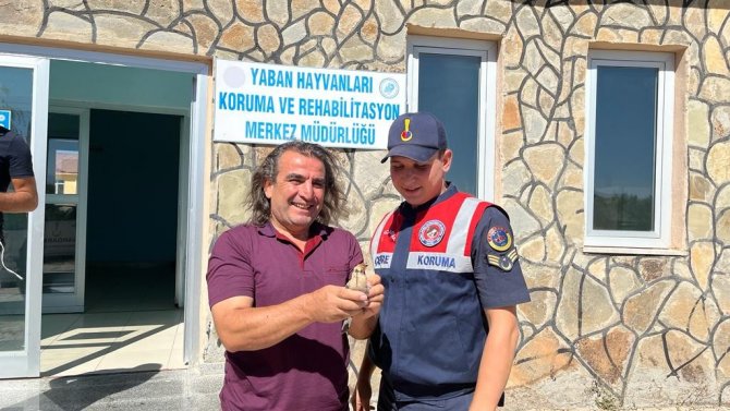 Yaralı Ağaçkakana Jandarma Şefkati